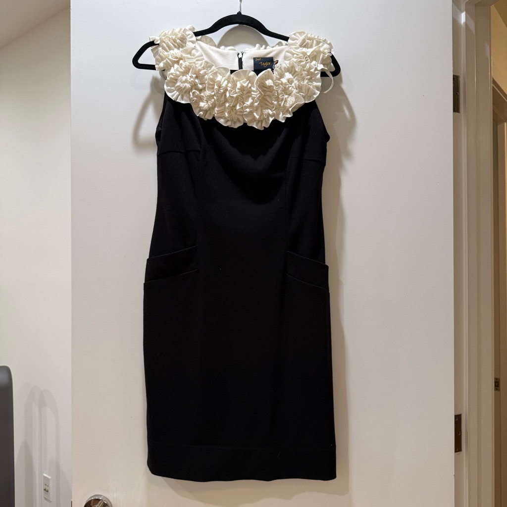 Ruffle Black And Cream Dress